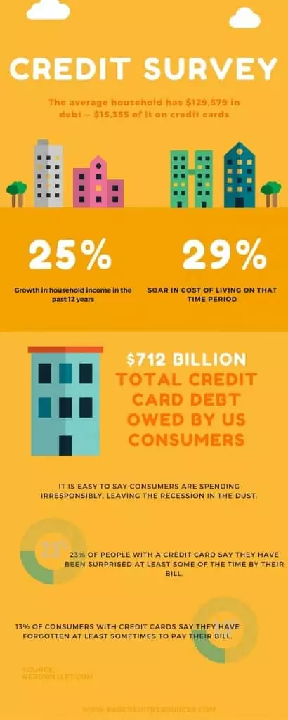 credit card debt survey